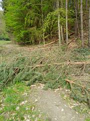 Dlouhá Louka před brigádou