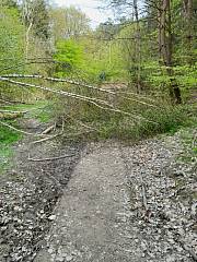 Dlouhá Louka před brigádou