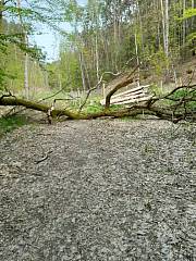 Dlouhá Louka před brigádou